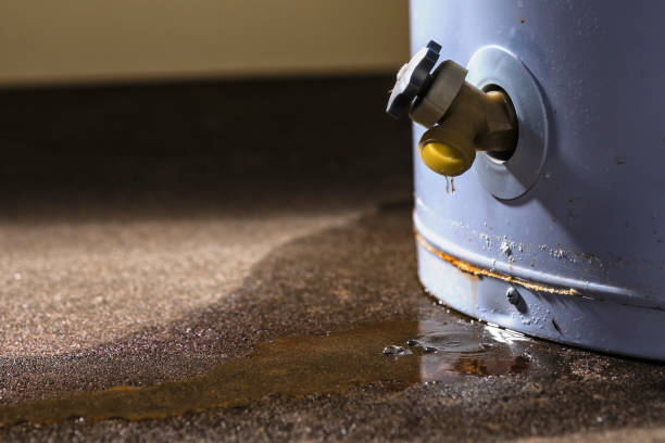 Best Water damage mitigation services  in Country Club Estates, GA