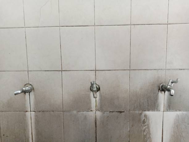 Best Flood damage cleanup  in Country Club Estates, GA