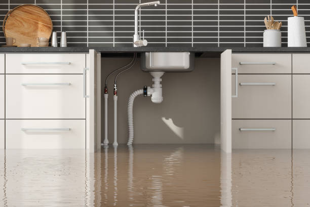 Best Water damage restoration cost  in Country Club Estates, GA